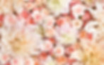 flower1.jpg