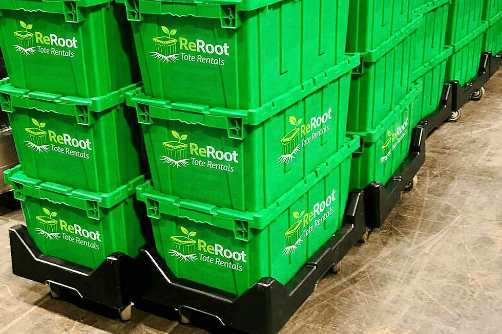 ReRoot branded crates.png