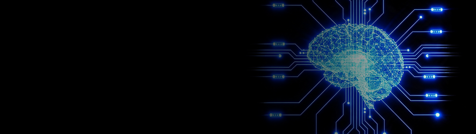 NPU Banner F.png