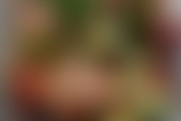 DIY: Quick & Delicious Every Season Salad