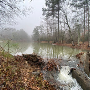 A beaver pond on a February morning at the Arabia Mountain National Heritage Area.