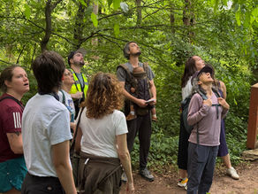 A Jane's Walk at Kirkwood Urban Forest Preserve