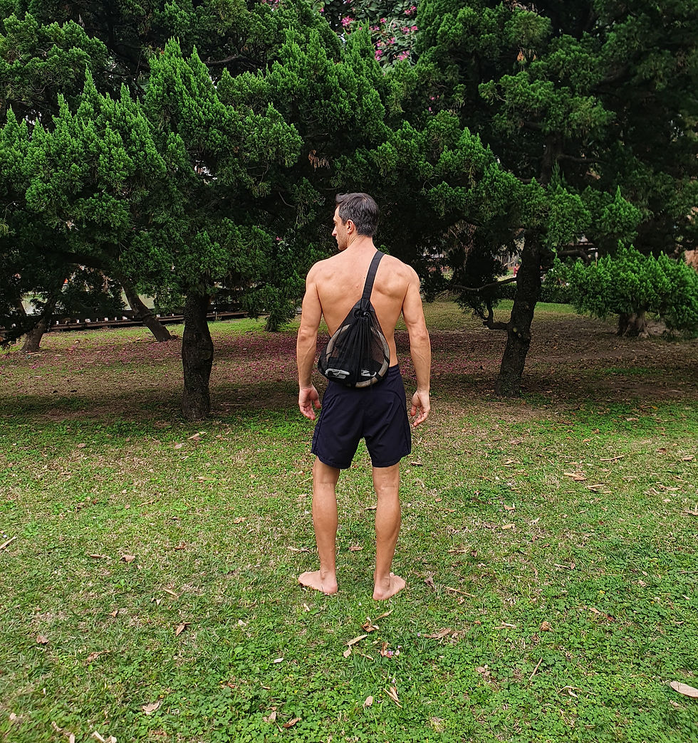 Thumbnail: Handstand Halo