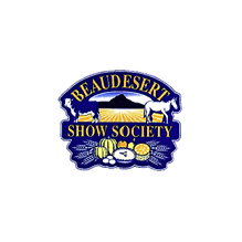 BSS logo.png