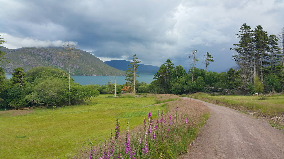 20210706_161646_1626028360377_resized