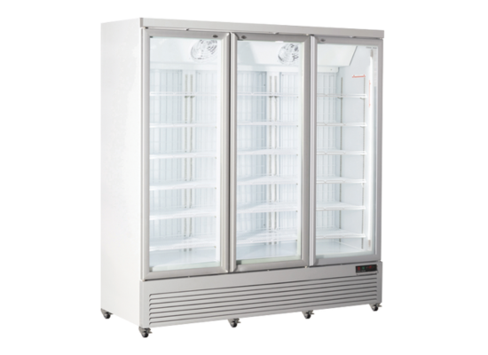 1450 Lt Freezer upright - RFG 1900