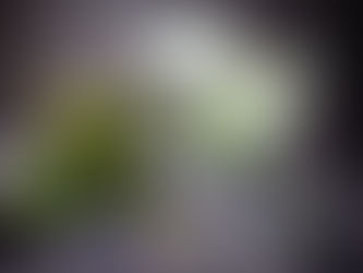 Perfect margarita recipe for parties, date nights, and me-time.