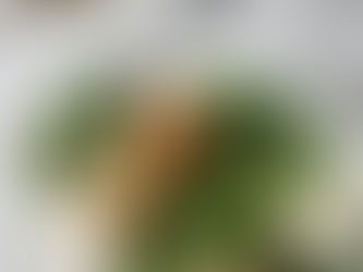 Get Memorial Day Ready with 3 Easy and Impressive Recipes