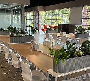 Common Area - 5 of 15.jpeg