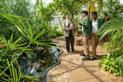 The Arbor School Dubai