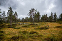 Destination Photography