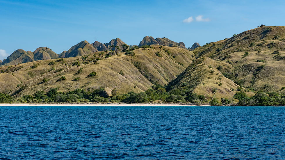Komodo National Park