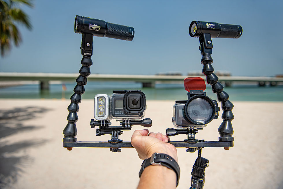 GoPro underwater setup with Black Molly V: 2600 Lumens Video Lights by BigBlue.