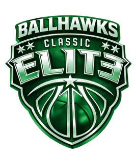 Ballhawks.png