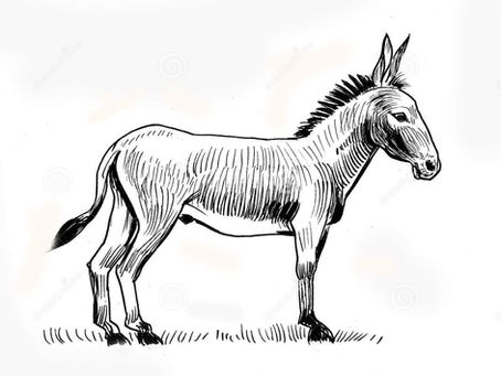 O burro falante