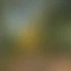 조각도시서울 /조각을 품은 열린 미술관이 되다