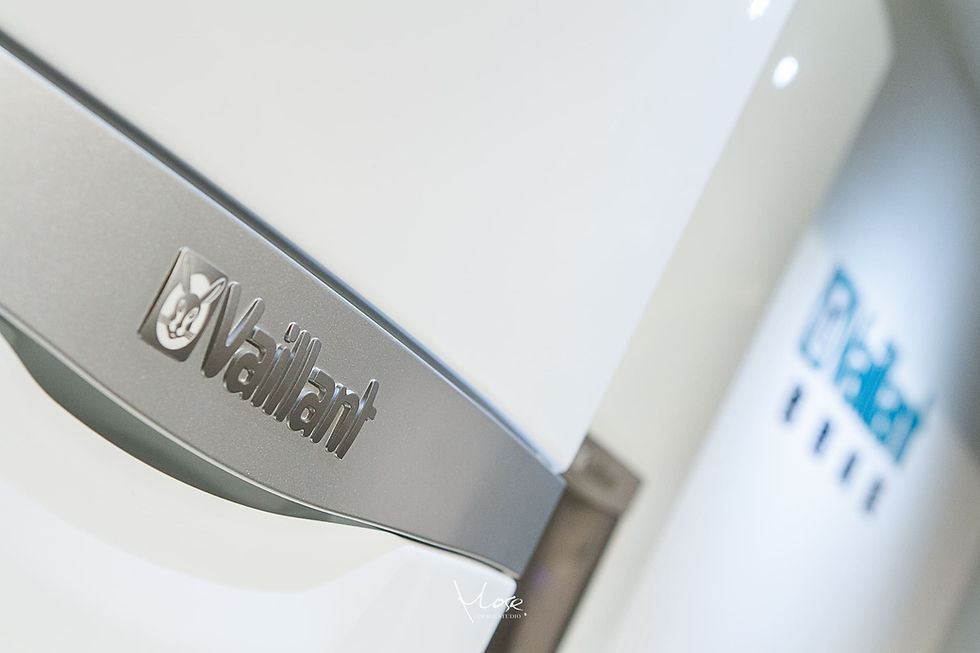 Vaillant