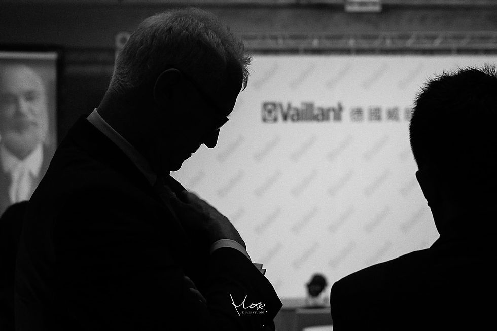 Vaillant