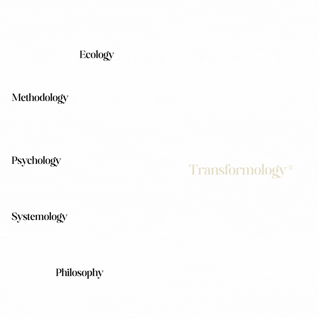 Copy of Transformology® 2025 NO WORDS Graphic.gif