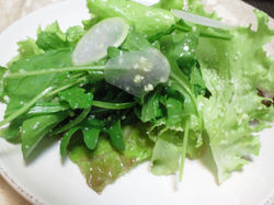 カブとみず菜、ルッコラのサラダ