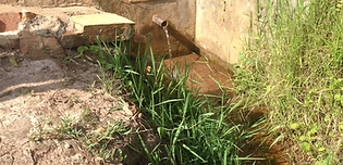 5e61b5_f77d1d37cc29493d98a2f970481c3402~mv2_d_2448_3264_s_4_2 copy.png