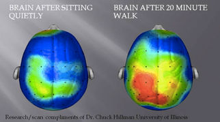 Just 20-minutes per Day...