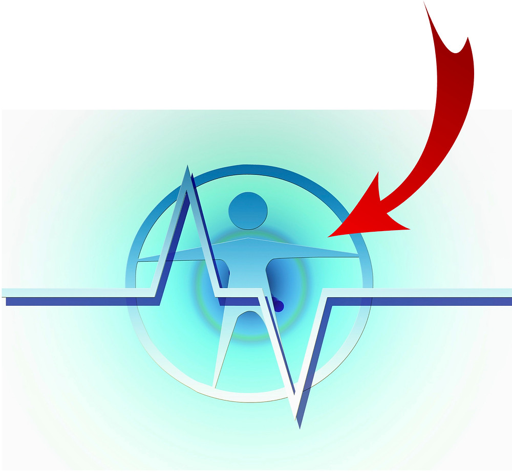 Holistic Health targets the whole self, not just symptoms