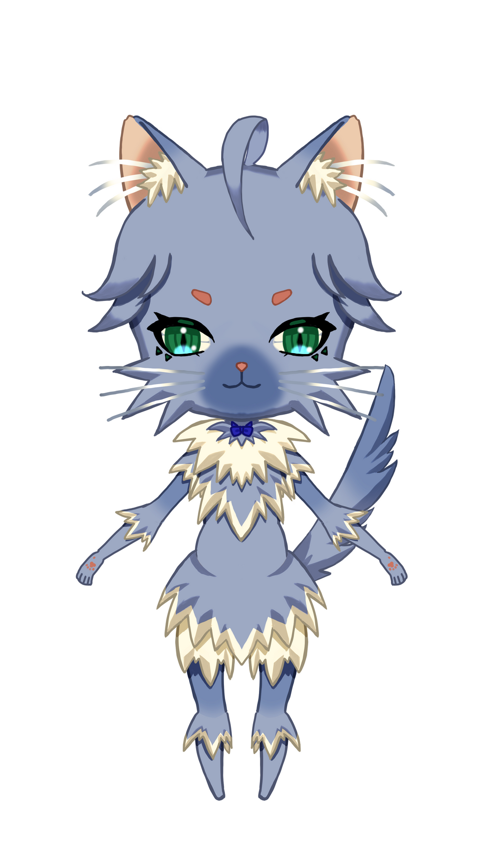 Longhair cats/長毛猫