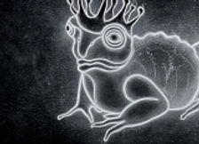 Prince black 40x32.jpg