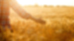 Brown Wood Classic Merry Chirstmas Desktop Wallpaper.jpg