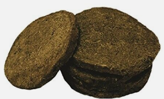 cow-dung-cakes