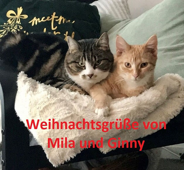 Mila und Ginny - Theen (2)-1.jpg