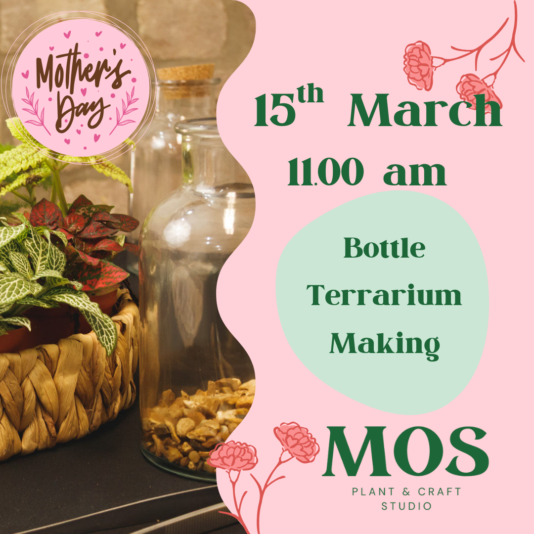 15/03 - Bottle Terrarium Making Workshop