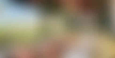 Image of hotel dining venue Sirena, image courtesy of Hyatt, Douglas Friedman