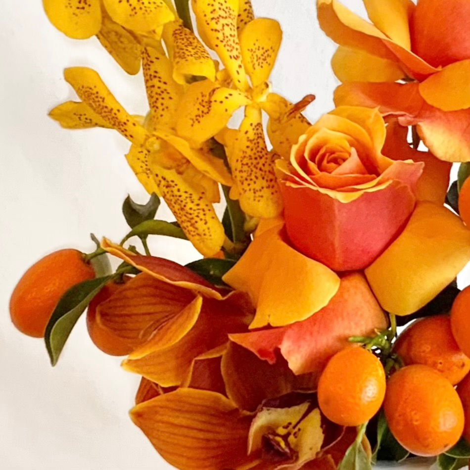 3 month subscription