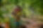 DSCF6485.jpg