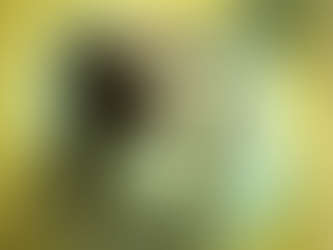 Reflection for the Fourth Sunday in Lent - The Man Born Blind