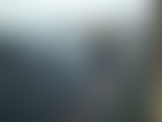 Steadfast in an Unsteady World