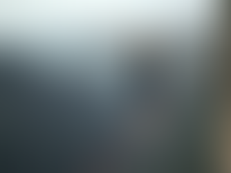 Steadfast in an Unsteady World