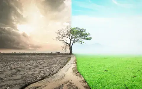 From Scarcity to Abundance