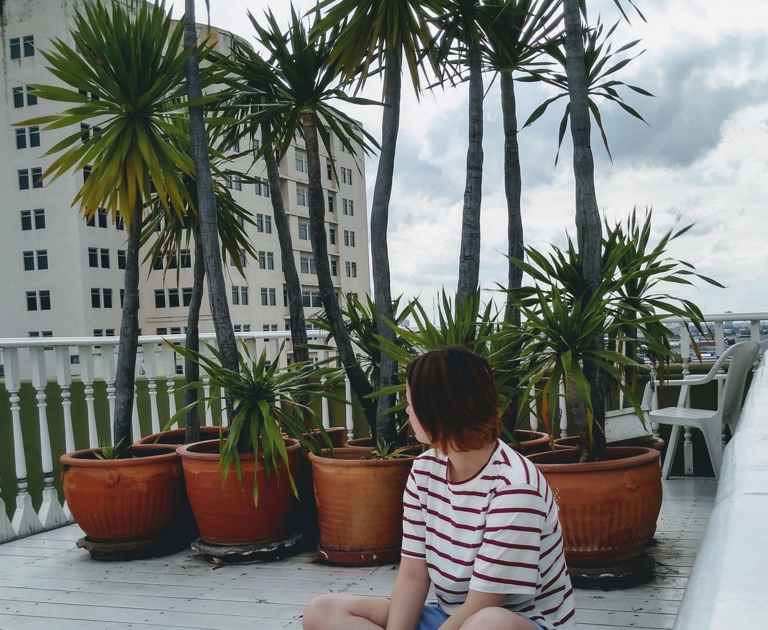 Writer: Zoe Mei