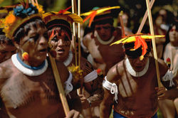 TEIA (Aiwalapiti)