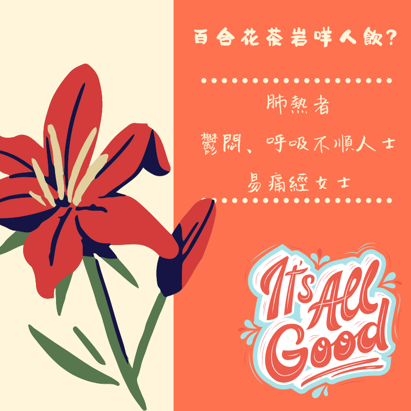 縮圖：百合花茶