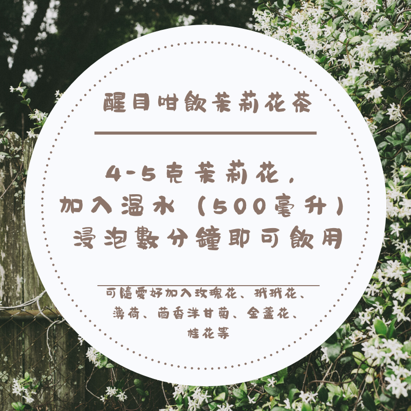 Thumbnail: 茉莉花