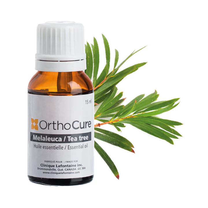 huile essentielle de melaleuca (tea tree)
