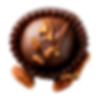 Pecan Praline