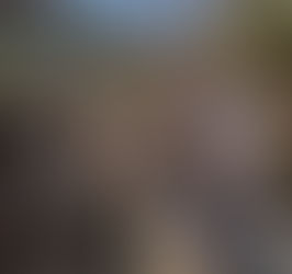 [BREAKING NEWS- European Union Supports resilience-building efforts in Yemen]
