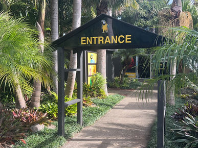 The Parrot Place