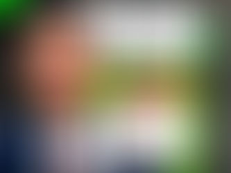 Mais um projeto de autoria do vereador Renato Gomes foi aprovado nesta quinta-feira.