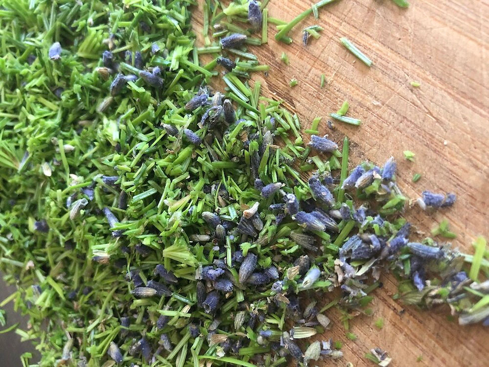 chopped fresh conifer tips and lavender